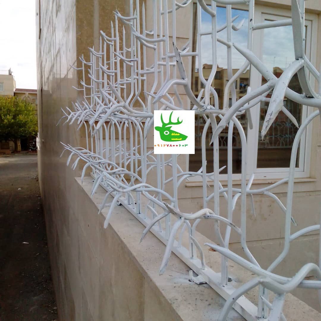 حفاظ خوشه ای گندمی کدام است؟