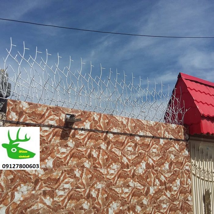 امن ترین حفاظ دیوار