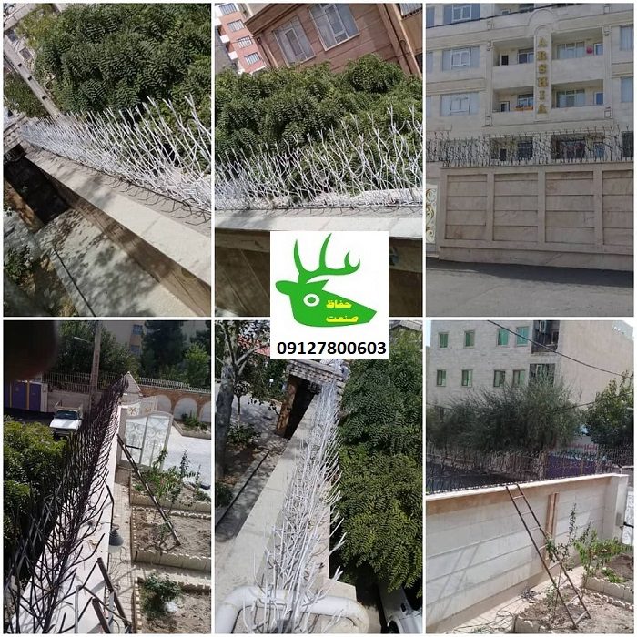 برترین حفاظ های ساختمانی