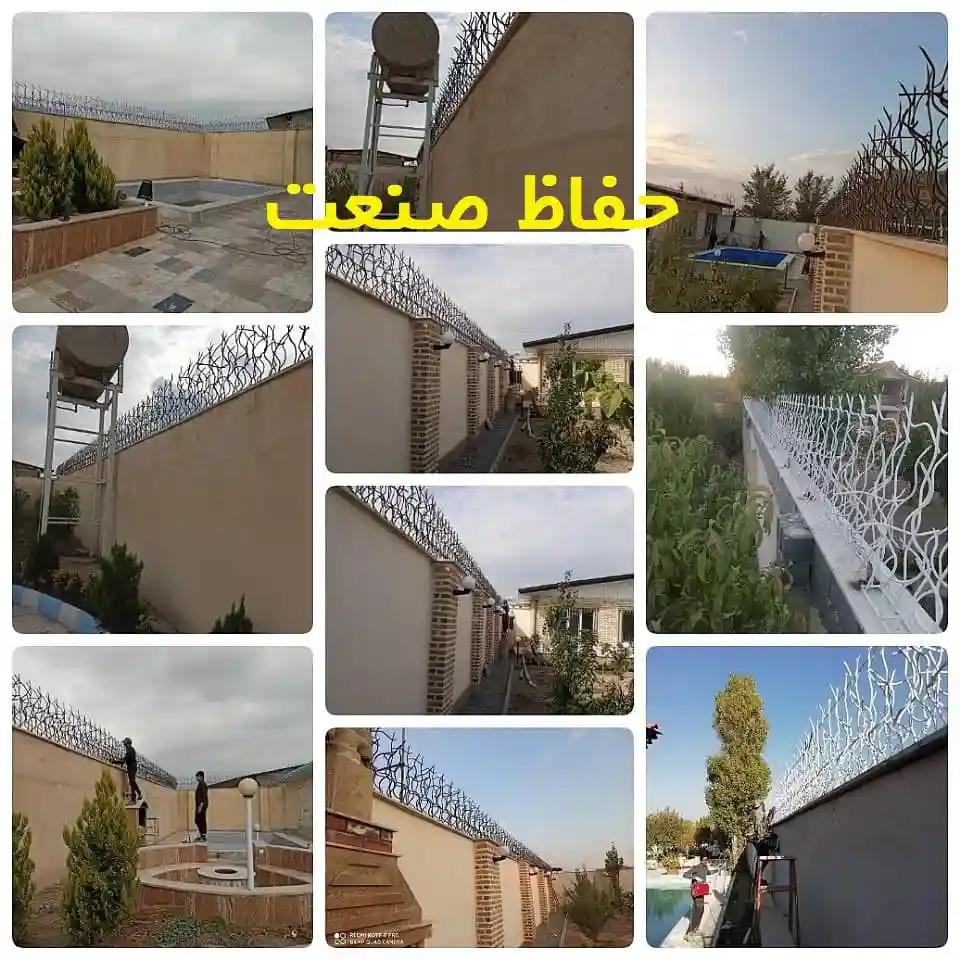 حفاظ شاخ گوزنی خرید حفاظ شاخ گوزنی