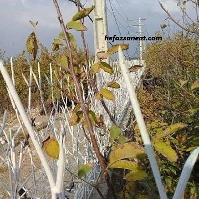 انتخاب بهترین مدل نرده حیاط