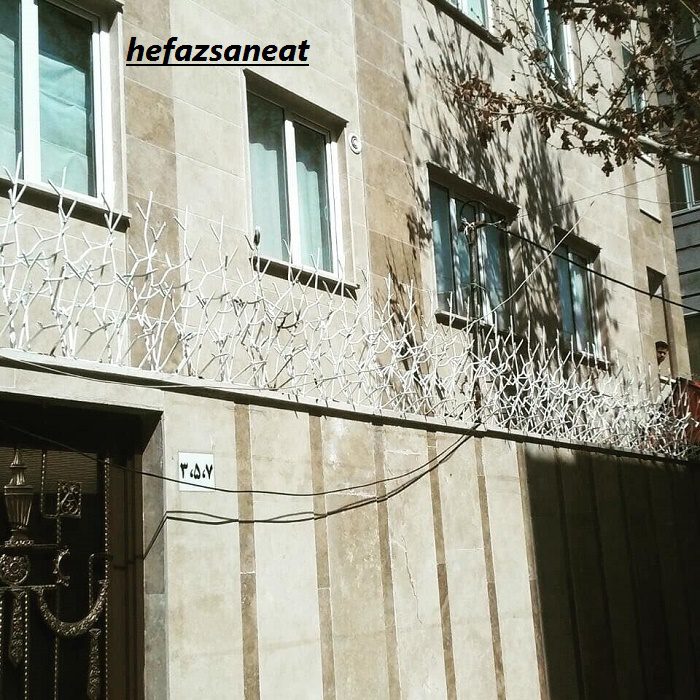 حفاظ شاخ گوزنی کم تراکم