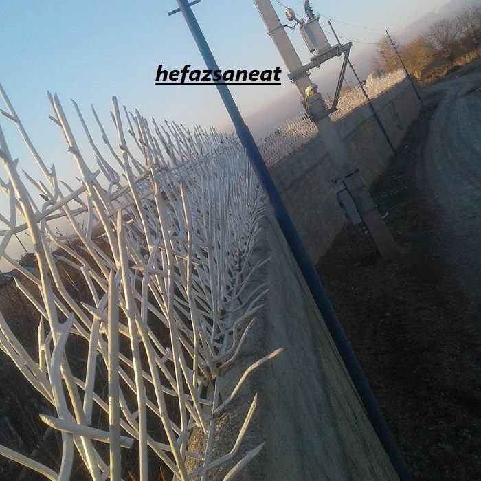 حفاظ شاخ گوزنی تراکم بالا شلوغ
