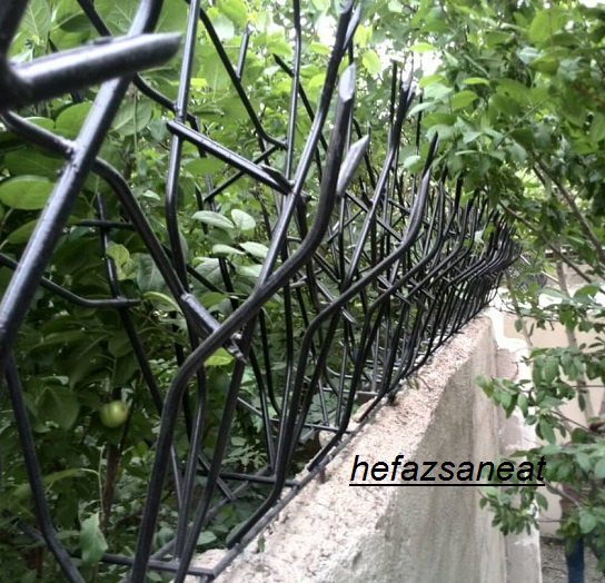 تراکم محافظ شاخ گوزنی 