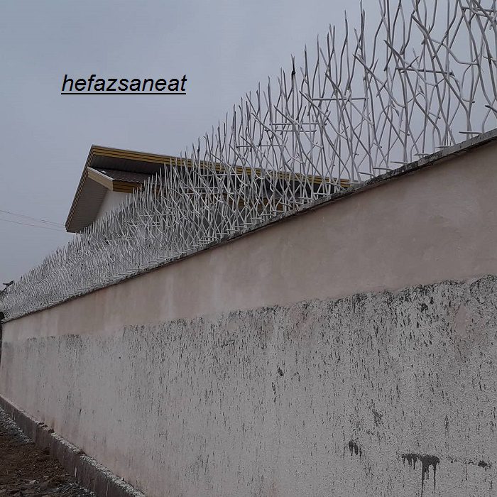 محافظ شاخ گزنی روی دیوار