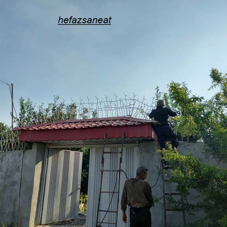نصب محافظ شاخ گوزنی دیوار 