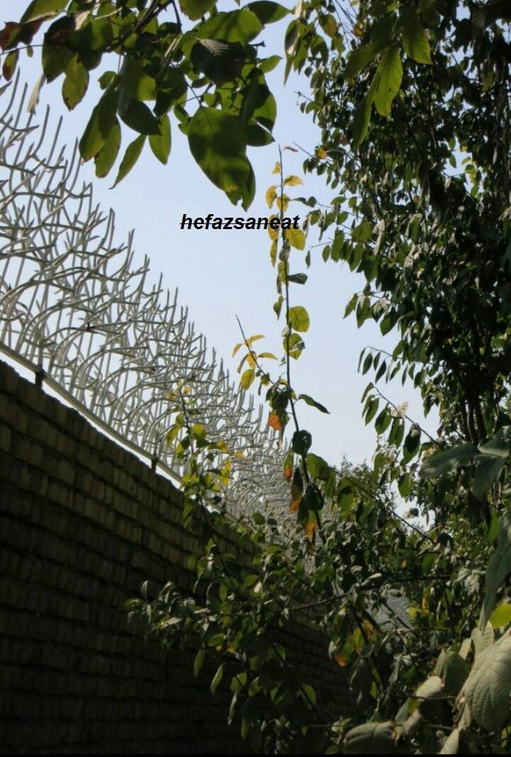 نصب حفاظ شاخ گوزنی