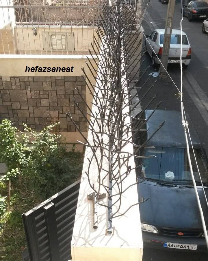 محافظ شاخ گوزنی
