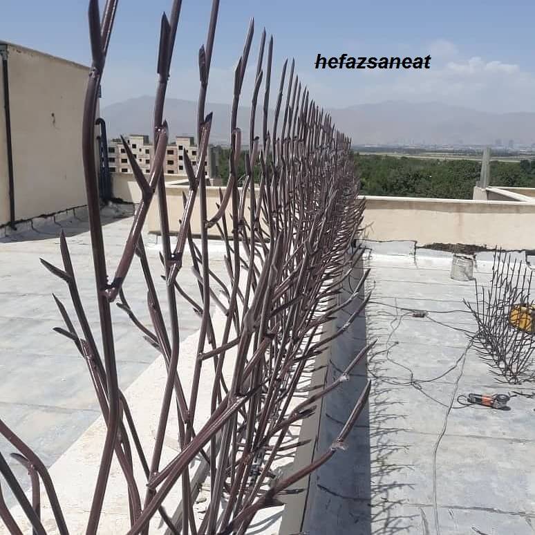 محافظ شاخ گوزنی دیواری
