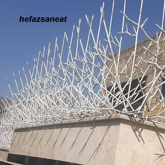 بهترین مدل‌های محافظ شاخ گوزنی