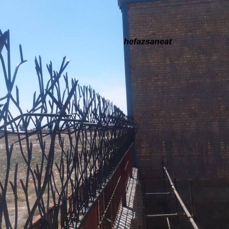 انواع محافظ شاخ گوزنی روی دیوار 
