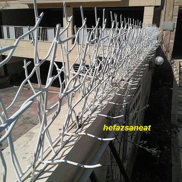 معرفی حفاظ دیواری شاخ گوزنی 