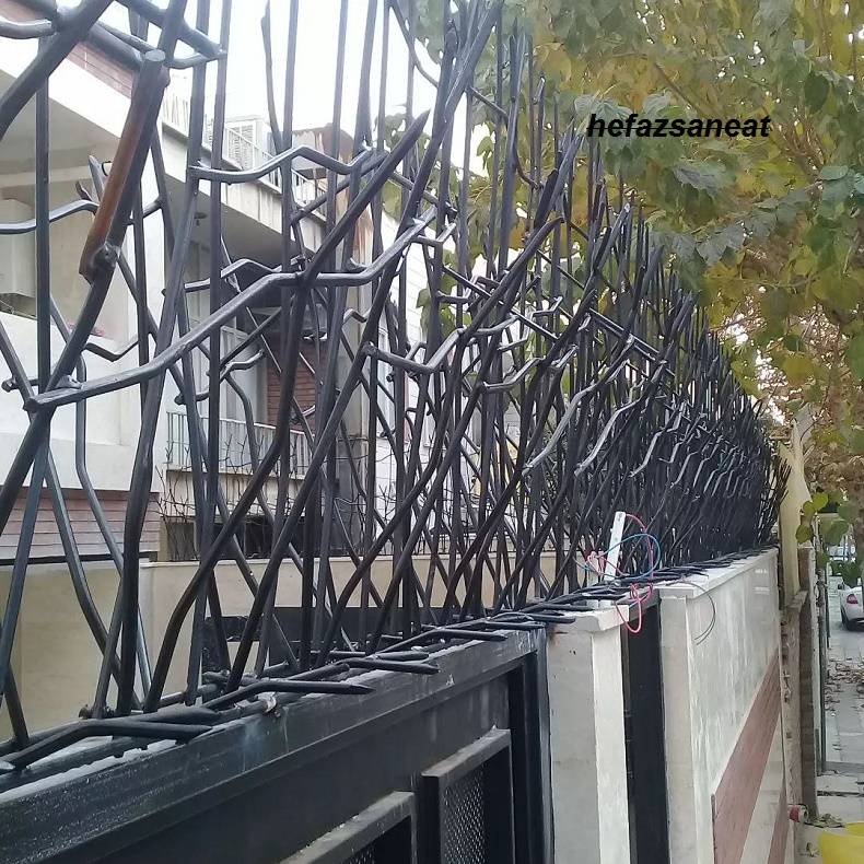 خرید محافظ شاخ گوزنی روی دیوار