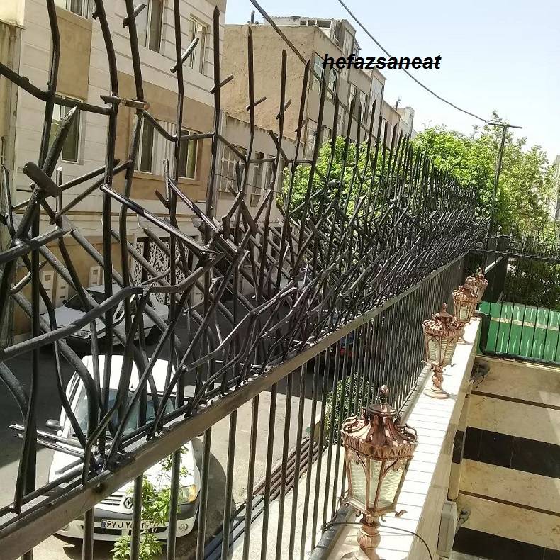 نگهداری محافظ شاخ گوزنی