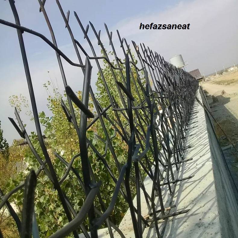 قیمت حفاظ شاخ گوزنی