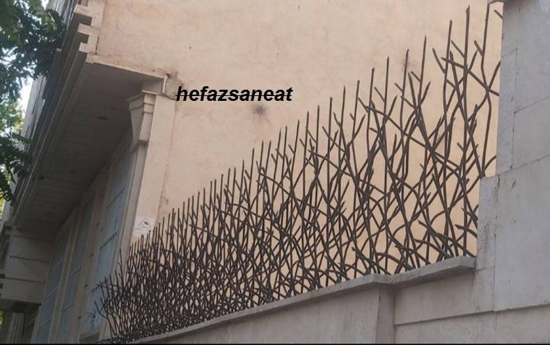 کاربرد محافظ شاخ گوزنی دیواری
