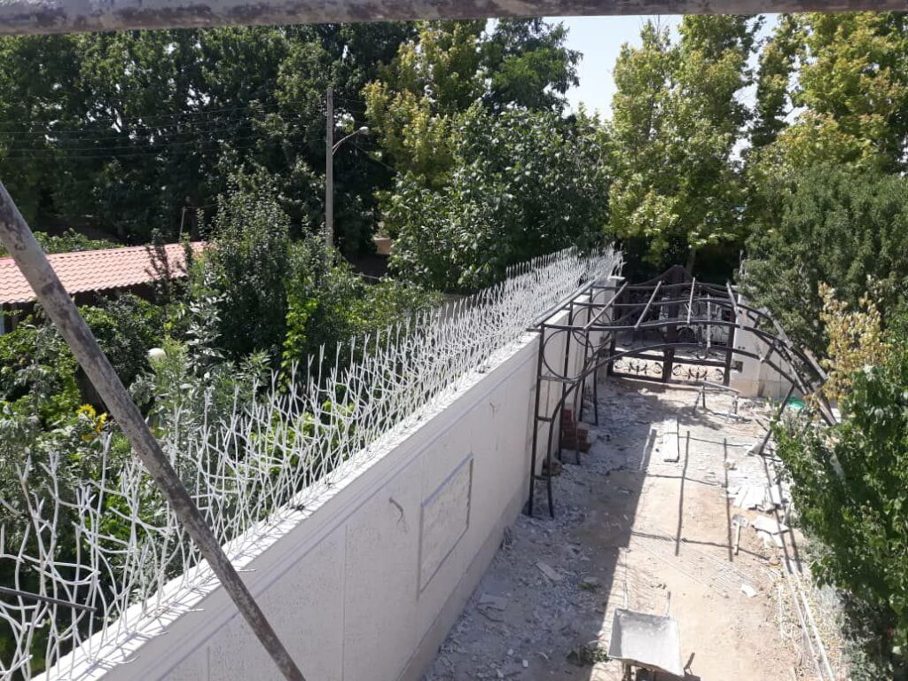بررسی فروش محافظ شاخ گوزنی دیوار