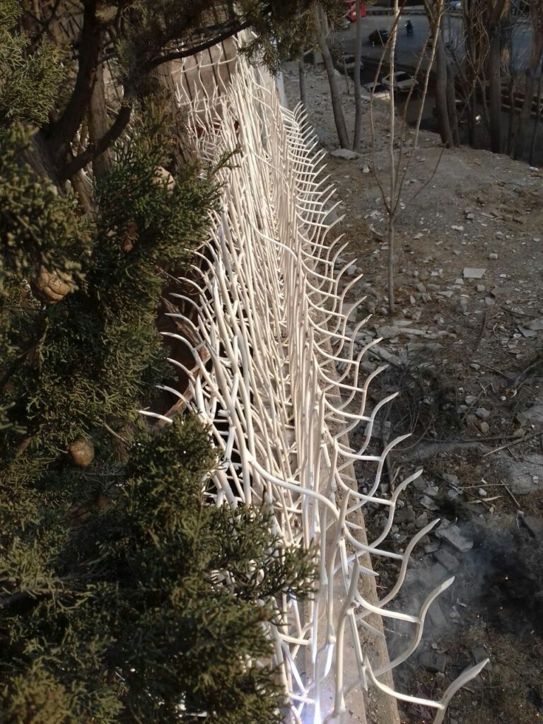 قیمت حفاظ بوته ای چقدر است؟
