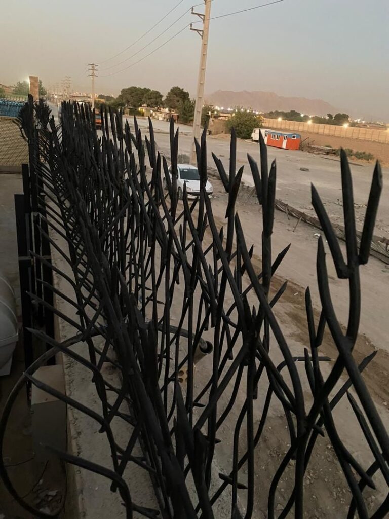 گارد محافظتی شاخ گوزنی بالای دیوار خانه