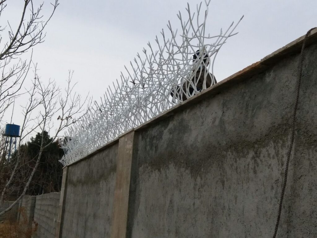 رنگ حفاظ شاخ گوزنی