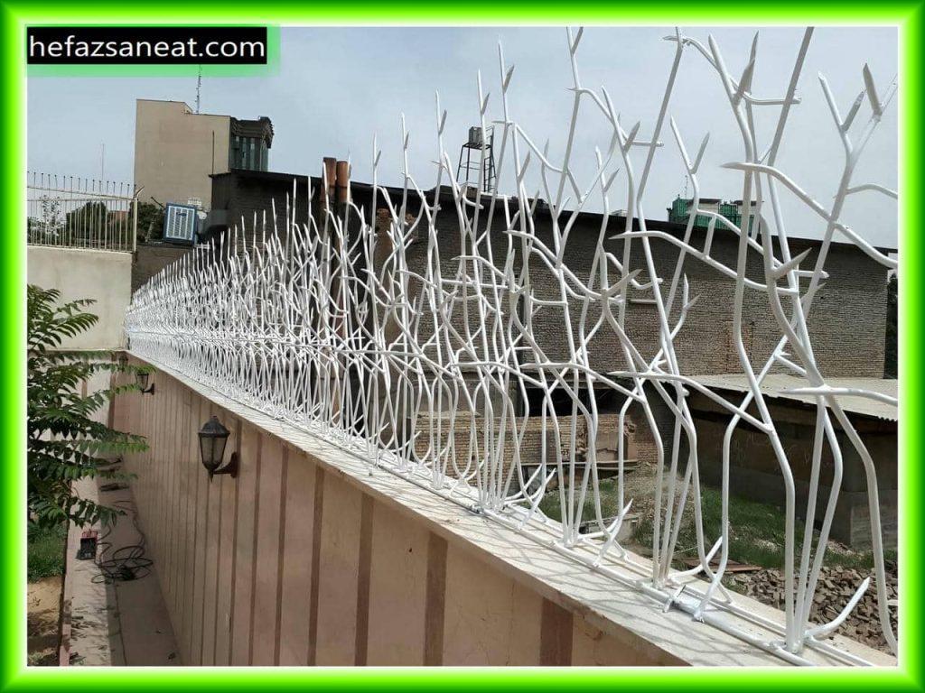 محبوبیت و ویژگی های حفاظ شاخ گوزنی