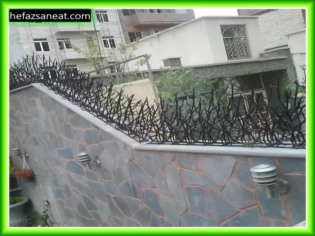 مزایا و ویژگی های حفاظ شاخ گوزنی مزایا و ویژگی های حفاظ شاخ گوزنی