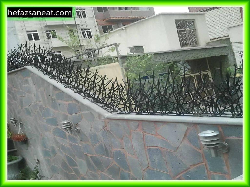 مزایا و ویژگی های حفاظ شاخ گوزنی