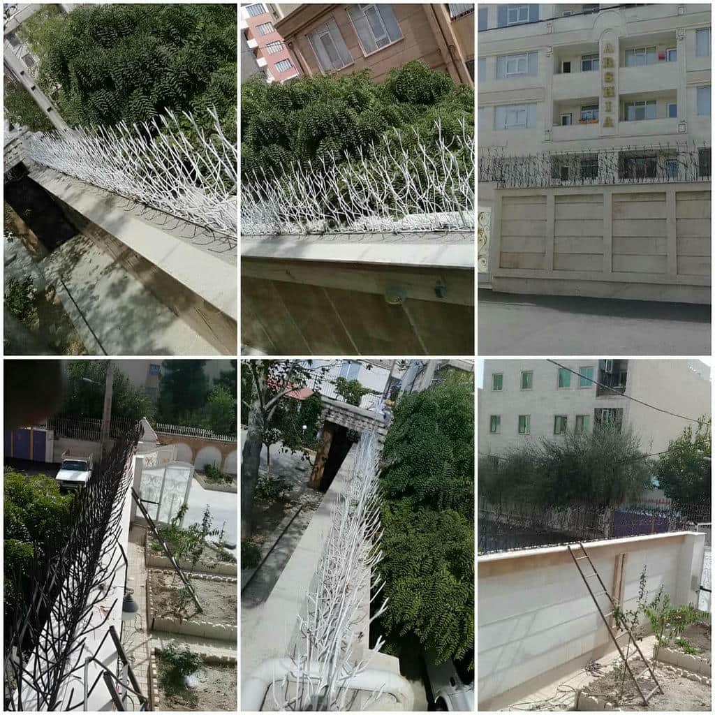 نصب حفاظ شاخ گوزنی رنگ نما در نسیم شهر