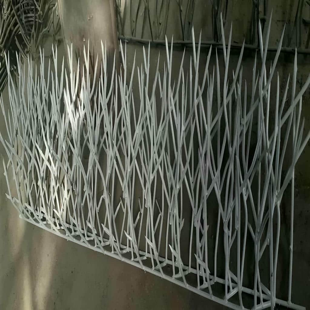 قیمت حفاظ شاخ گوزنی نگهداری دوره ای در بیرجند