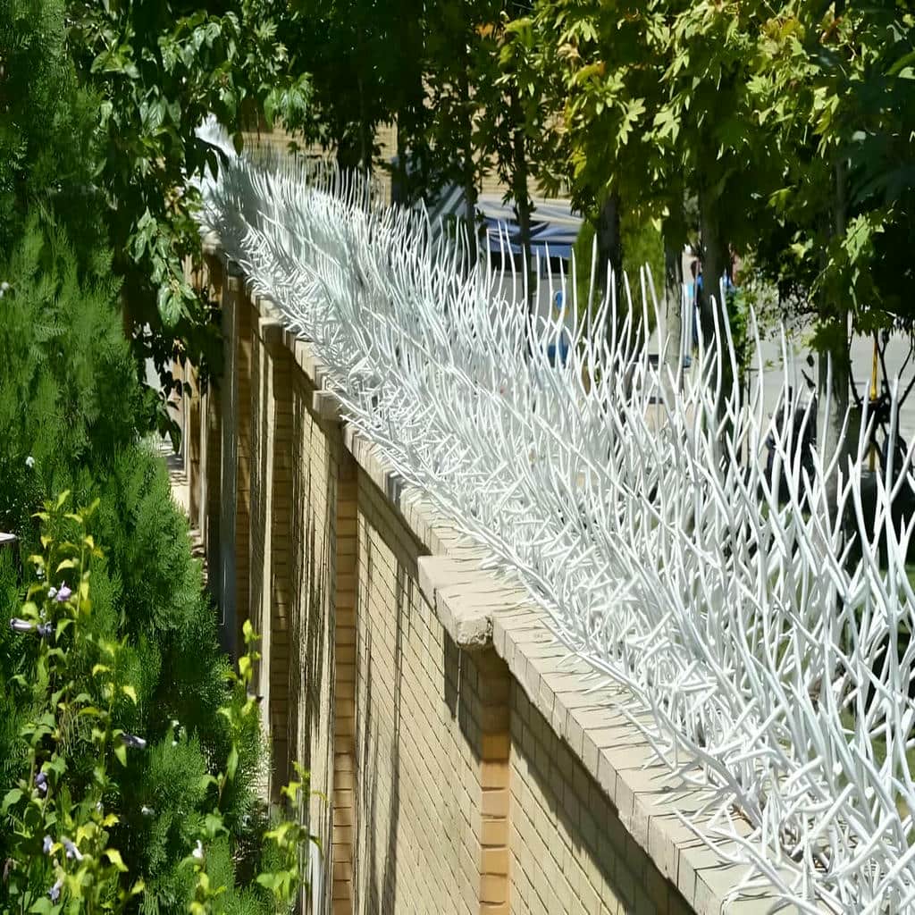 کارخانه حفاظ شاخ گوزنی کیفیت جوش در ایرانشهر