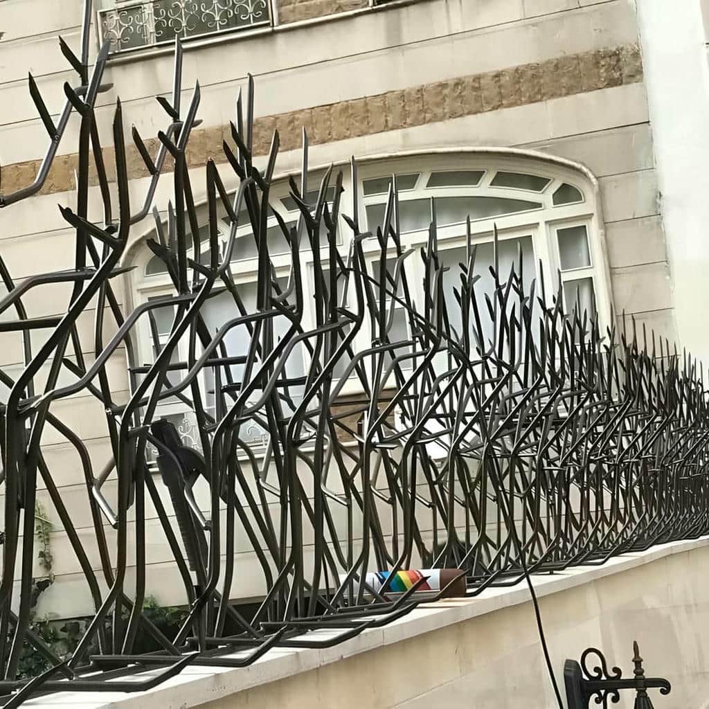 قیمت حفاظ شاخ گوزنی تحویل زمان بندی شده در دماوند