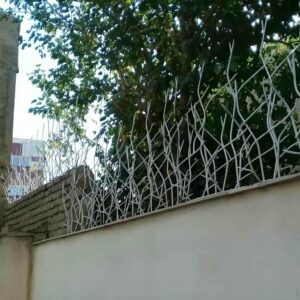 حفاظ شاخ گوزنی در مهرشهر کرج
