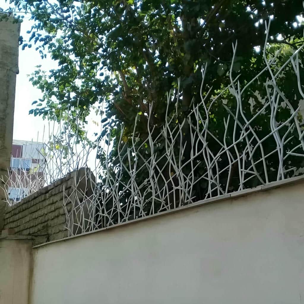 حفاظ شاخ گوزنی در مهرشهر کرج