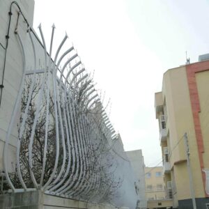 حفاظ شاخ گوزنی در رامسر