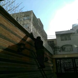 حفاظ شاخ گوزنی در فیروزکوه