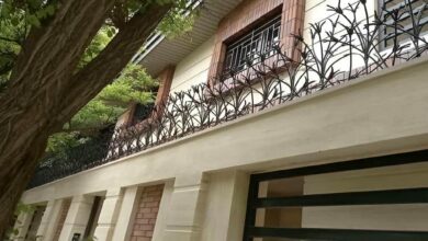 حفاظ شاخ گوزنی در بندر بوشهر