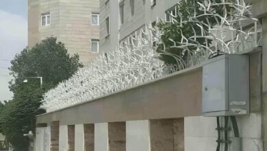 حفاظ شاخ گوزنی در فردیس کرج