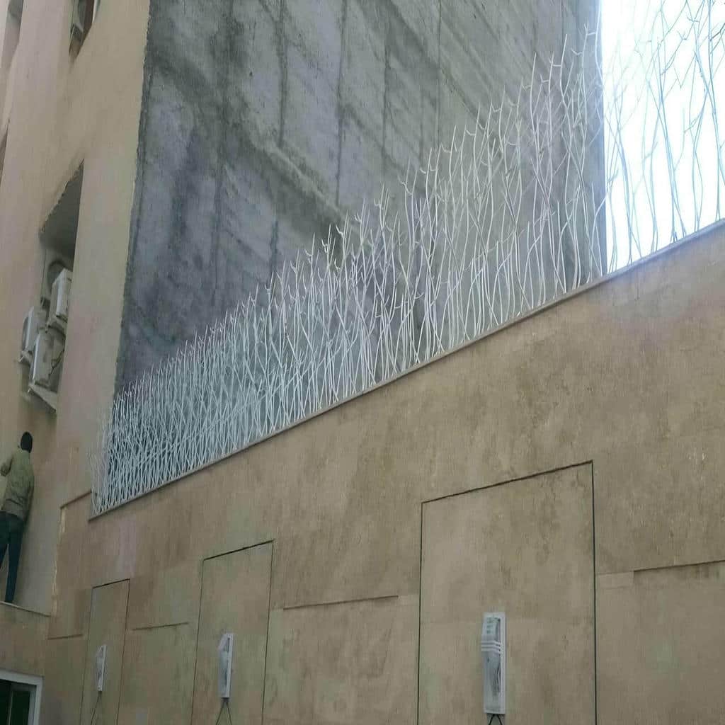 خرید حفاظ شاخ گوزنی تراکم متعادل در کاشان
