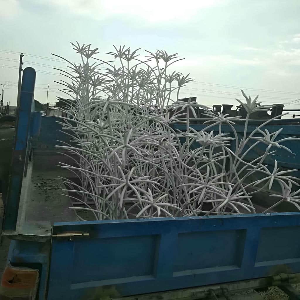 کارخانه حفاظ شاخ گوزنی ایمنی اجرا در دماوند