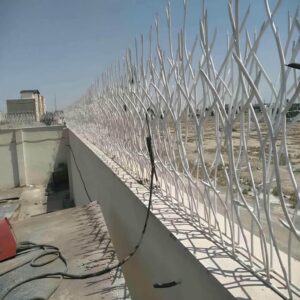 حفاظ شاخ گوزنی در استان خوزستان