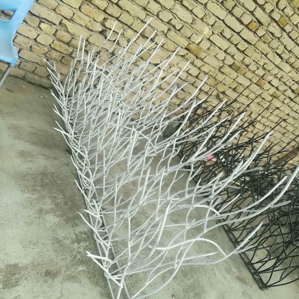 حفاظ شاخ گوزنی در ایلام