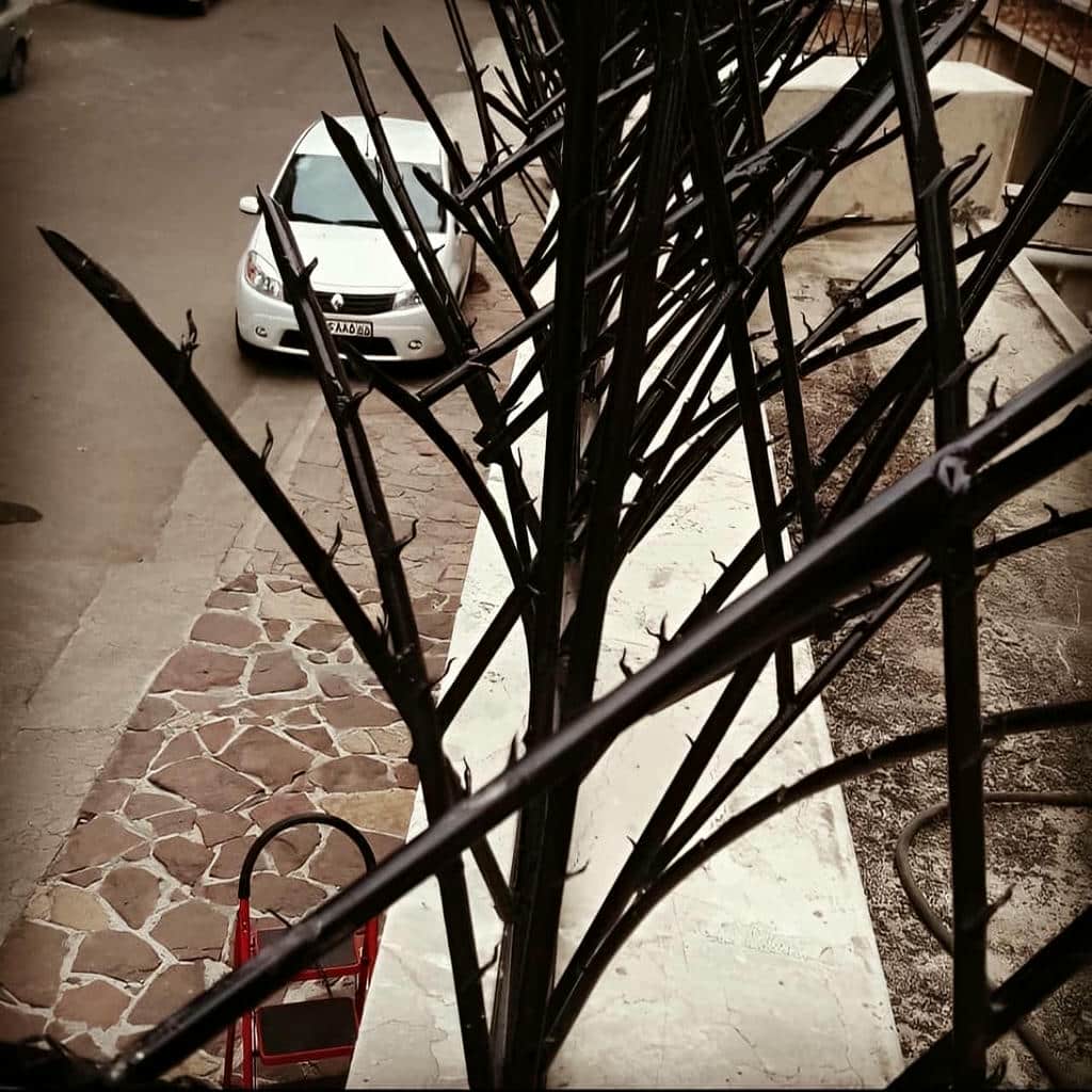 حفاظ شاخ گوزنی در آبادان