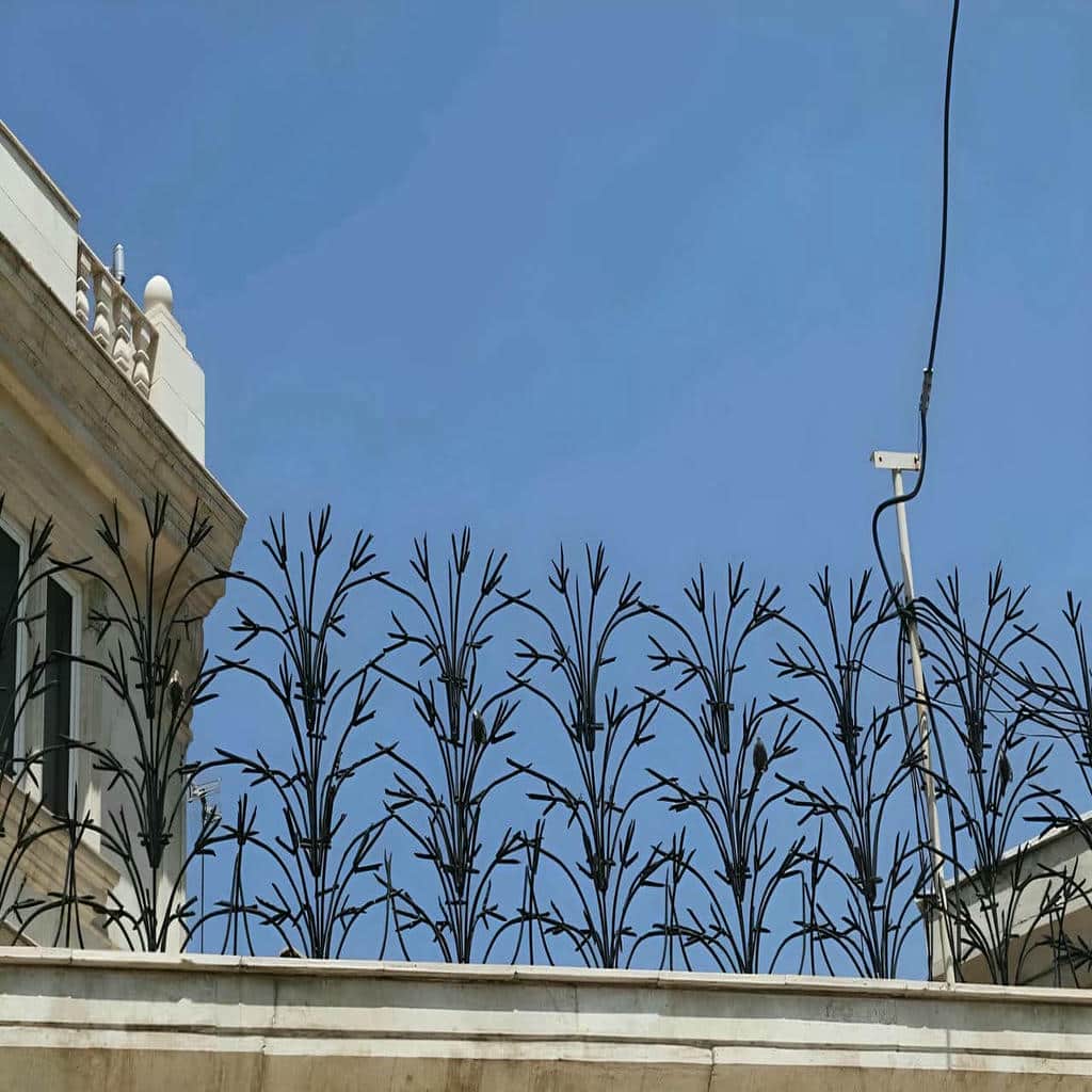 قیمت حفاظ شاخ گوزنی مسکونی در بابل