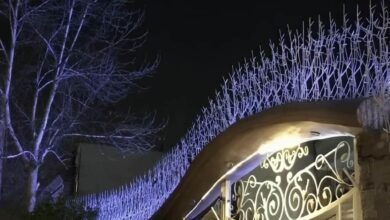 حفاظ شاخ گوزنی در اهواز