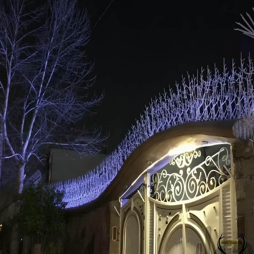 حفاظ شاخ گوزنی در اهواز
