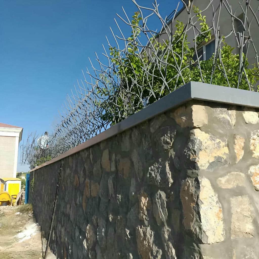 حفاظ شاخ گوزنی در سقز