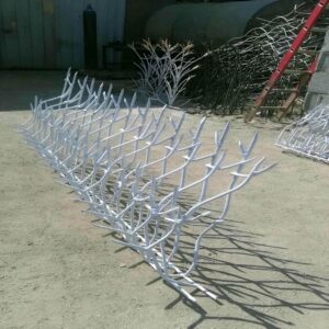 حفاظ شاخ گوزنی در استان گلستان