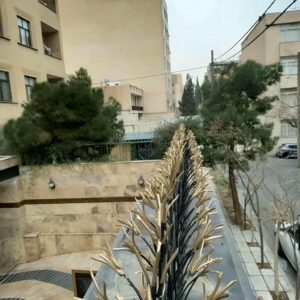 حفاظ شاخ گوزنی در سنندج