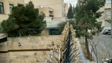 حفاظ شاخ گوزنی در سنندج