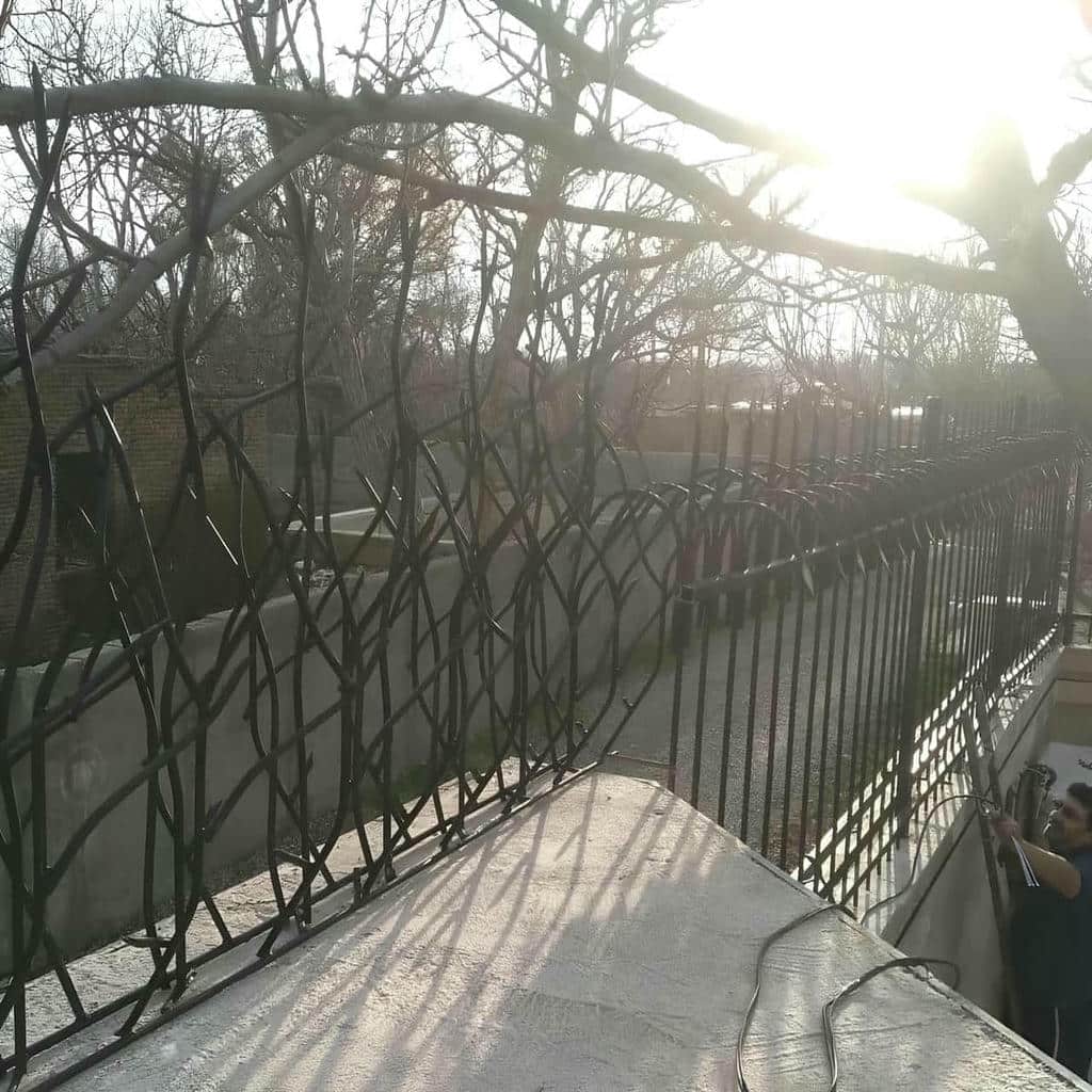 حفاظ شاخ گوزنی در اردبیل